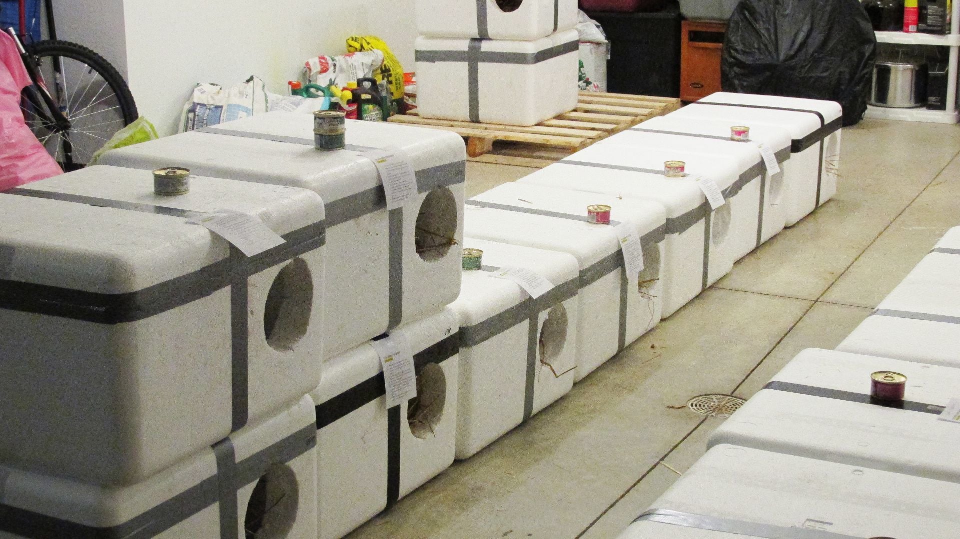 keep feral cats warm