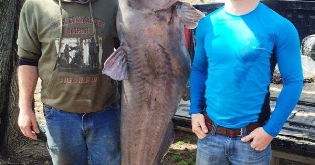 WEST VIRGINIA ANGLER BREAKS BLUE CATFISH RECORD — Welcome To The