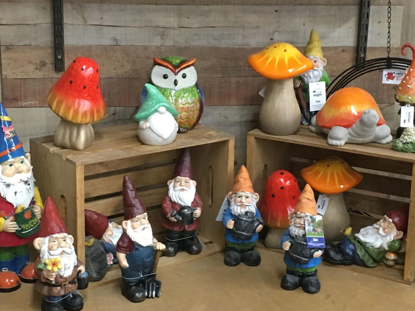 Garden gnomes: Cultural story behind lawn ornament figurines