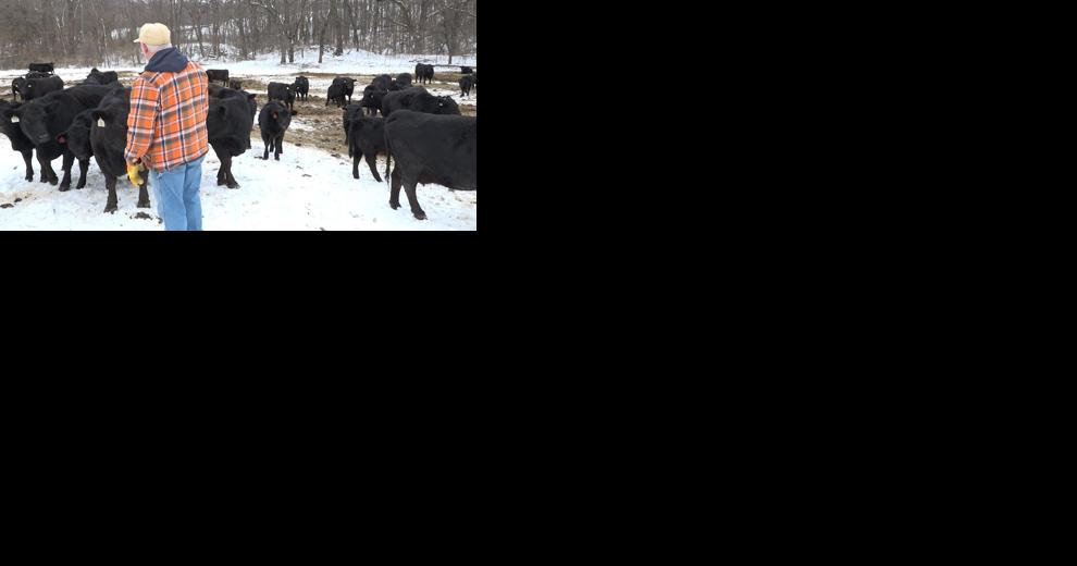 Local farmers benefit from recent snowfall - Vimarsana News
