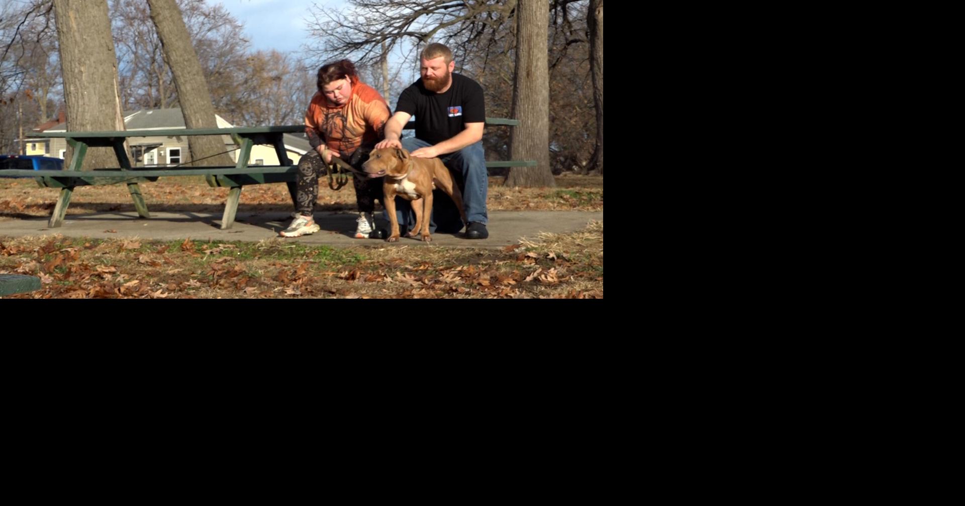 Lost dog reunited with family in time for holidays | Local News ...