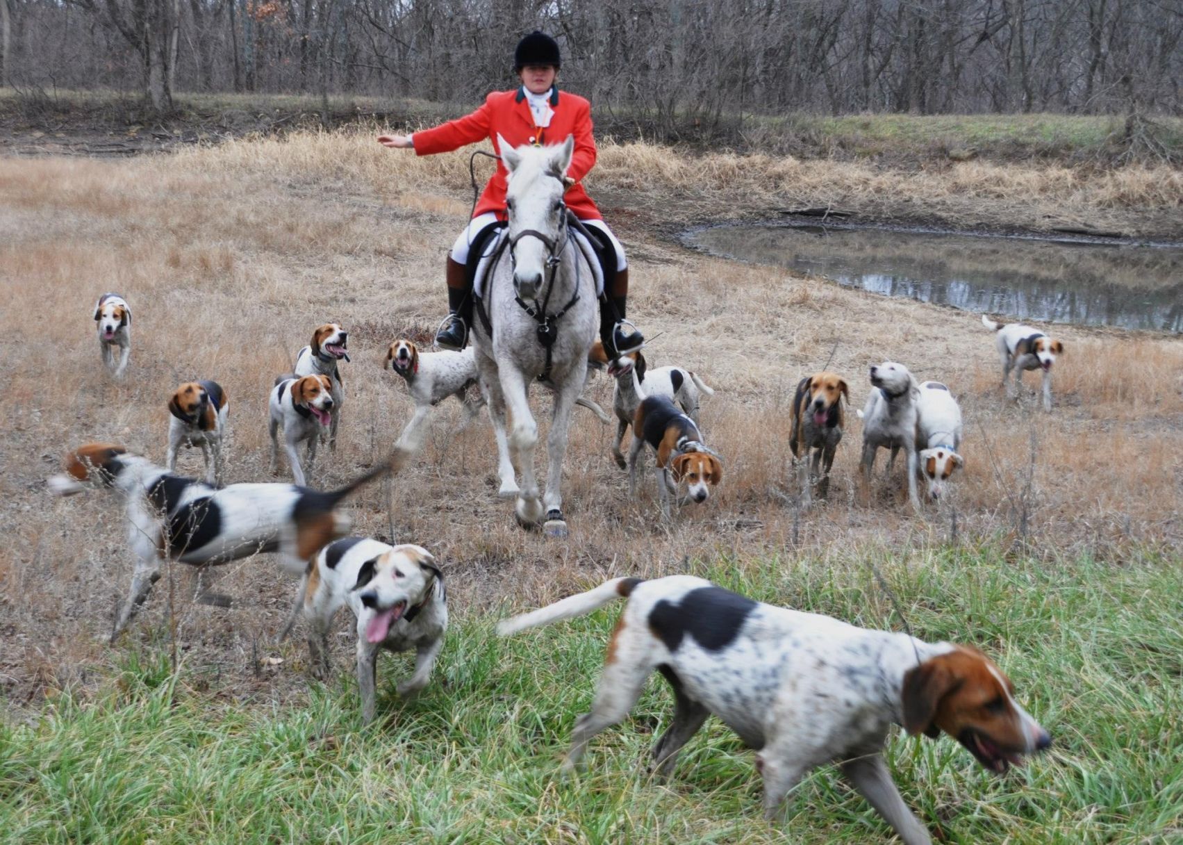 foxhound street food