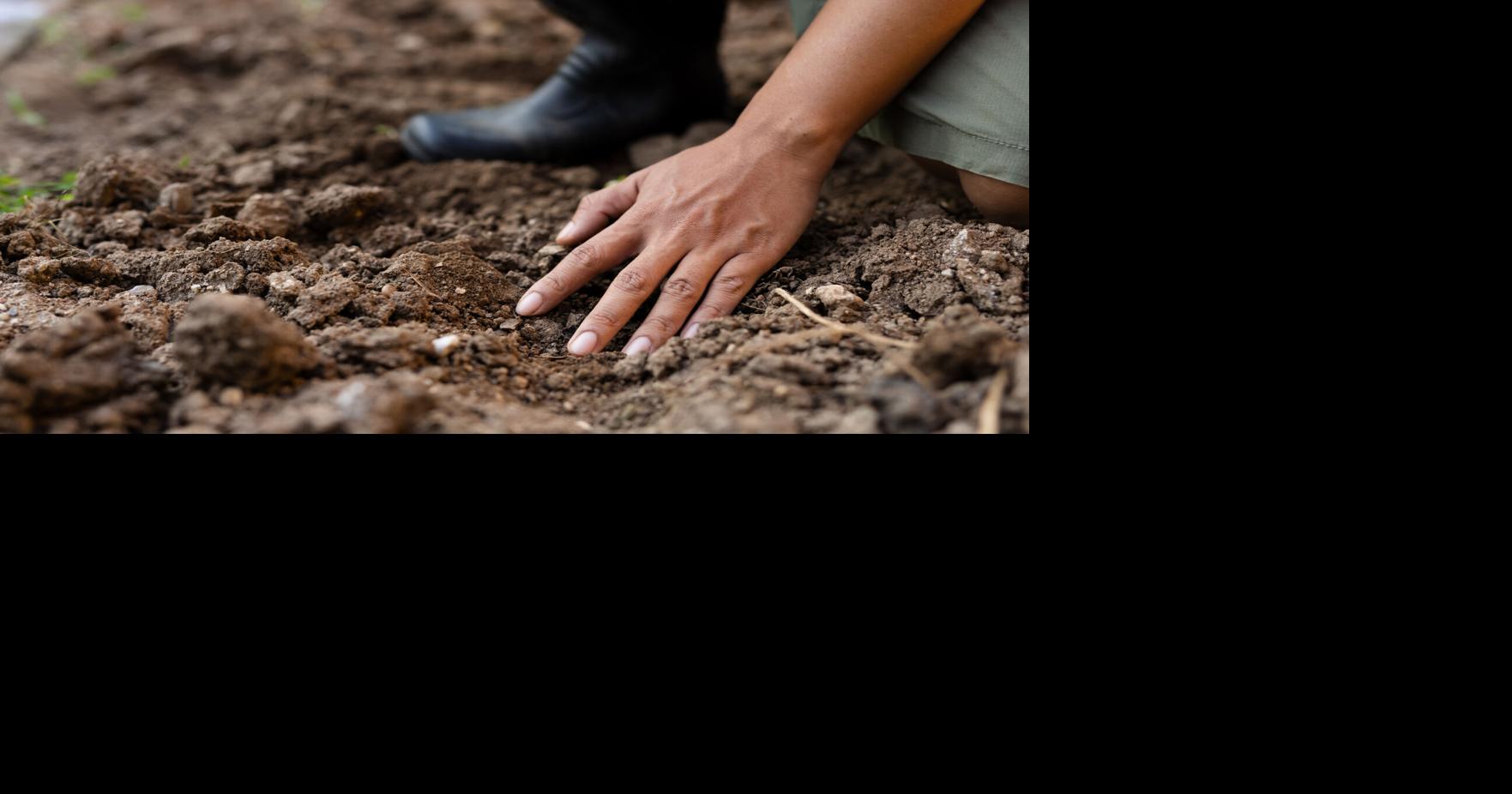 Field day looks at new soil moisture data tools