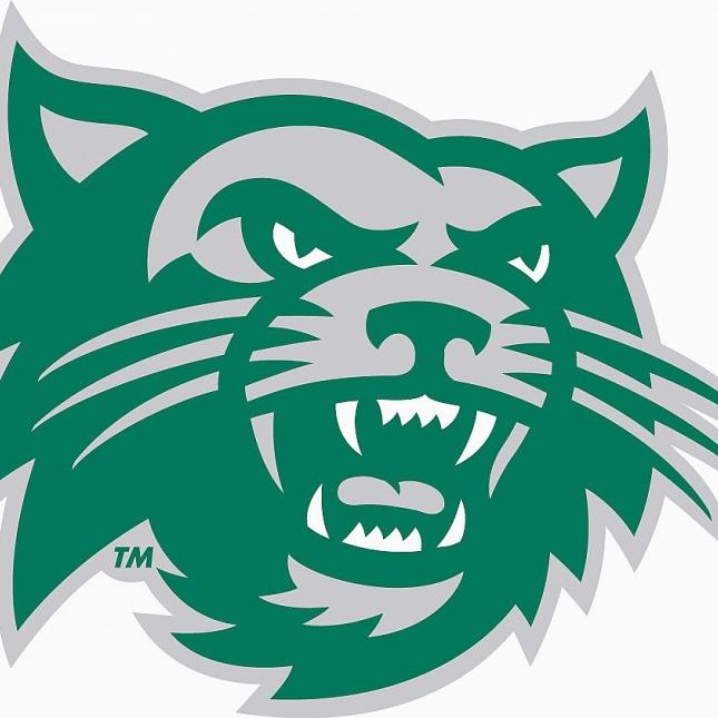 Northwest Missouri State University Branding & Logos usage guidelines