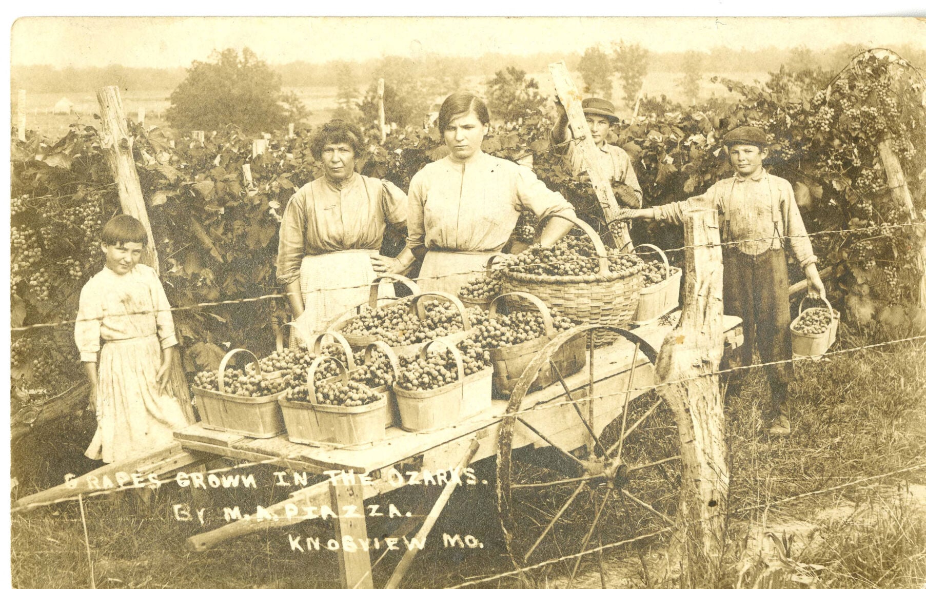 Grapes on the Mother Road: Missouris winery and roadside grape-stand tradition on Route 66