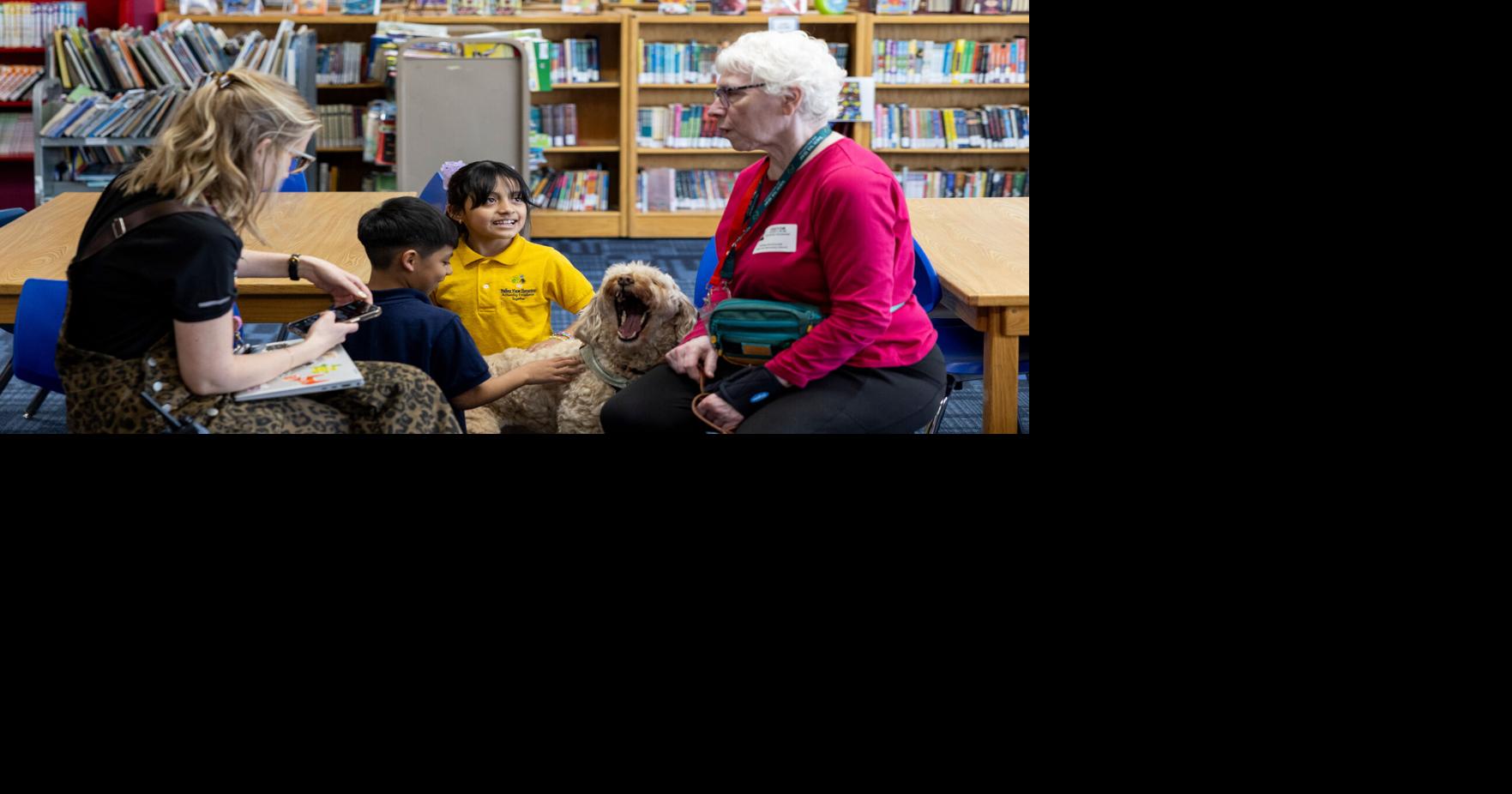 The Minneapolis immigration crackdown ended months ago. For these little kids, trauma remains A therapy dog named Sage is helping children at Valley View Elementary outside Minneapolis cope with trauma from the immigration crackdown By MORIAH BALINGIT of The Associated Press and ANDY STEINER of MinnPost May 27, 2026 May 27, 2026 Updated 1 min ago