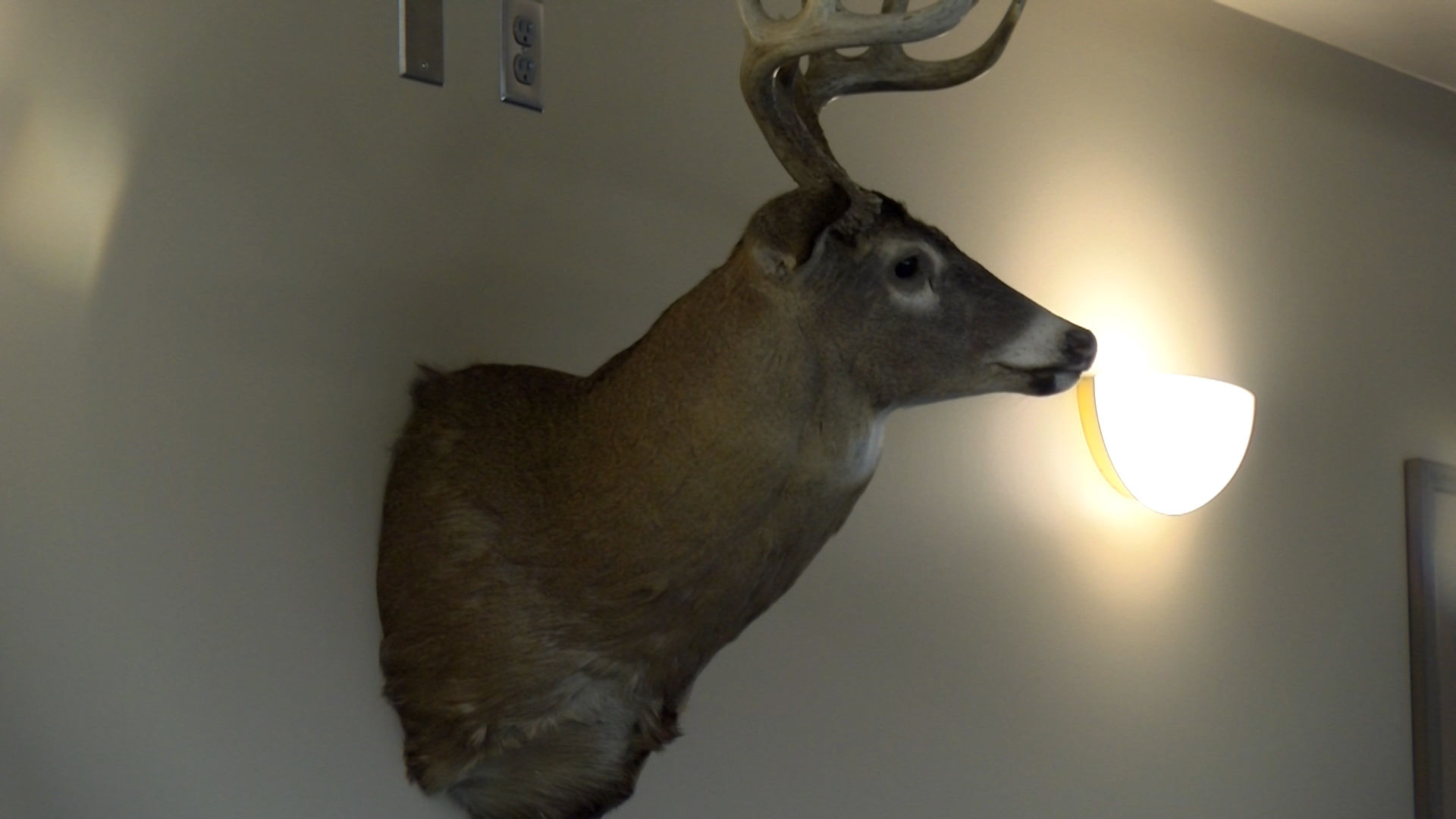 Conservation department adds new deer hunting opportunities for ...