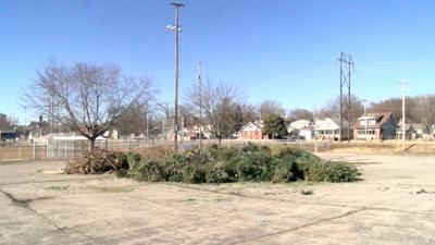 Few days left for city tree disposal