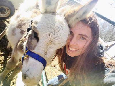 East Hills Mall Kicks Off Easter Events With Petting Zoo Movie Screening Newspressnow Com