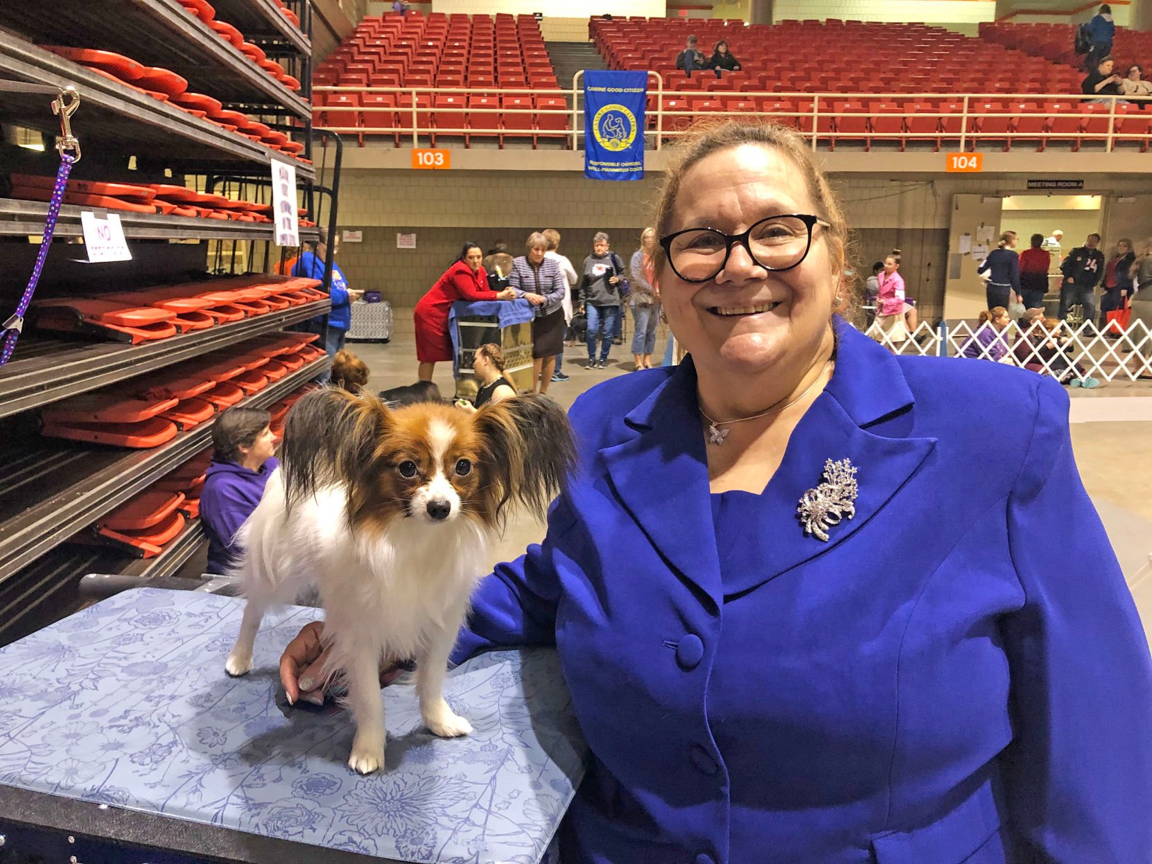 akc dog show