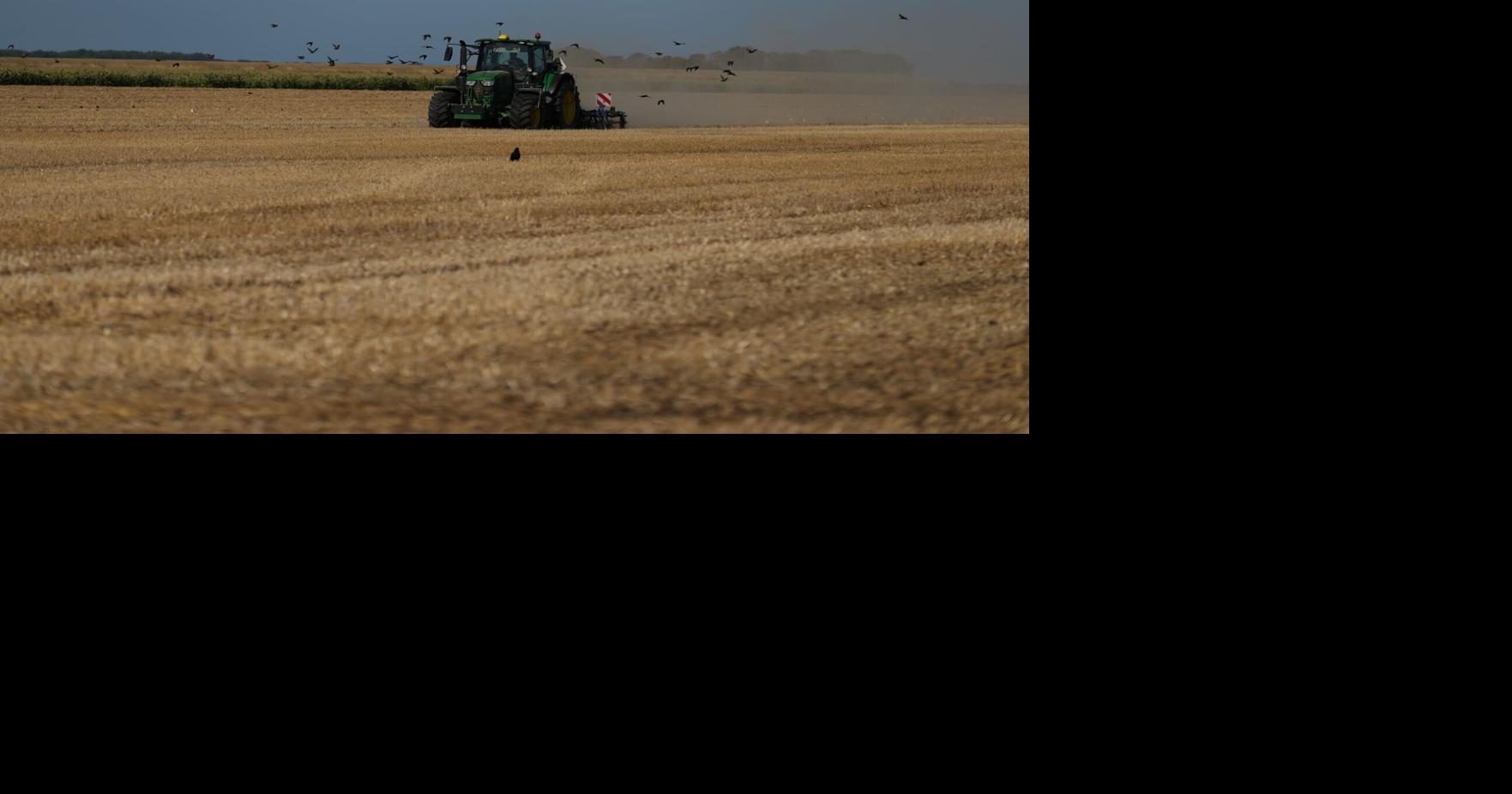 A punishing European drought shrivels crops from Dutch potatoes to Bosnian corn A drought that is slamming Europe this summer is hitting farmers across Europe hard By MIKE CORDER - Associated Press Aug 13, 2026 Aug 13, 2026 Updated 8 mins ago