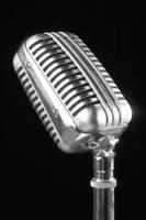 Mic cover