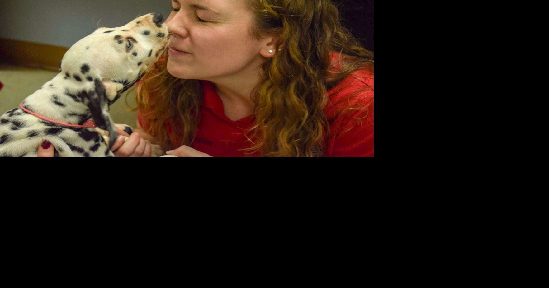 UC professor pioneers groundbreaking research at UC Fetch Lab | News ...