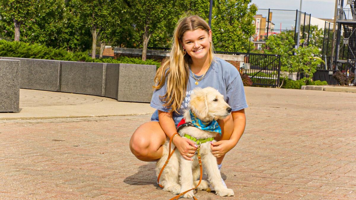 4 Paws for Ability gives students opportunity to train future service dogs  | Features 