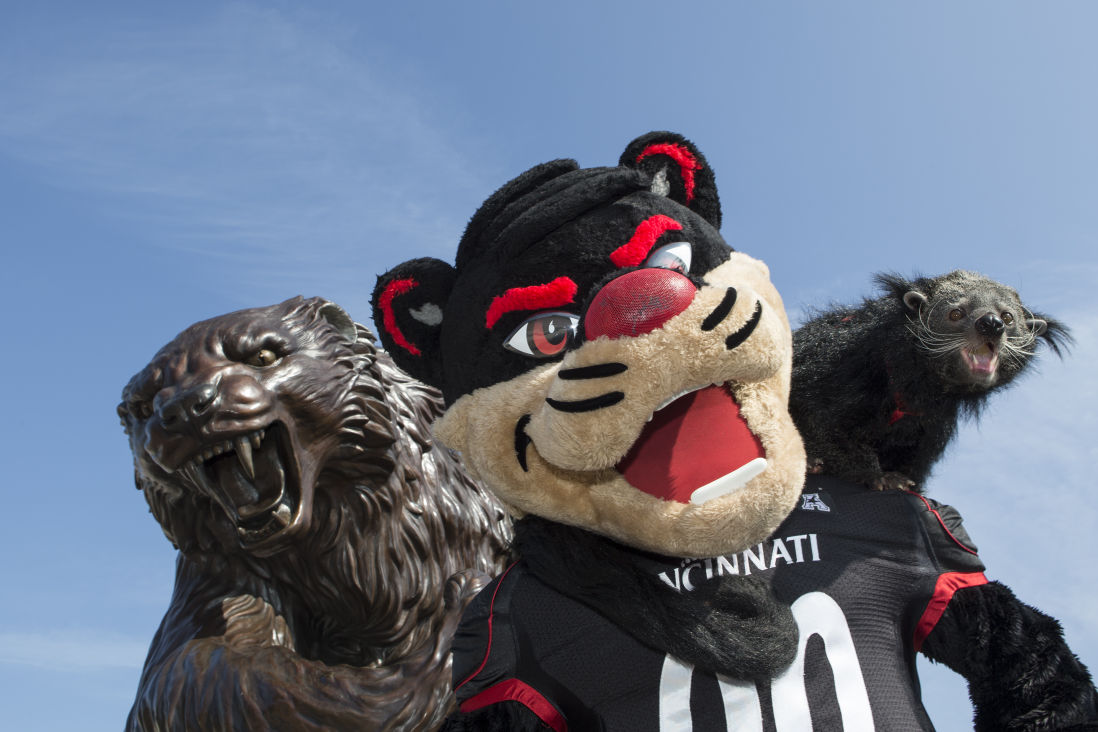 University of Cincinnati Bearcats Winter Hat