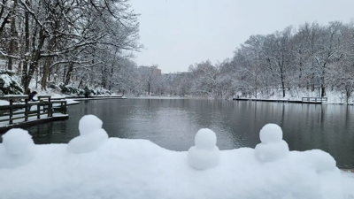 Burnet Woods snow