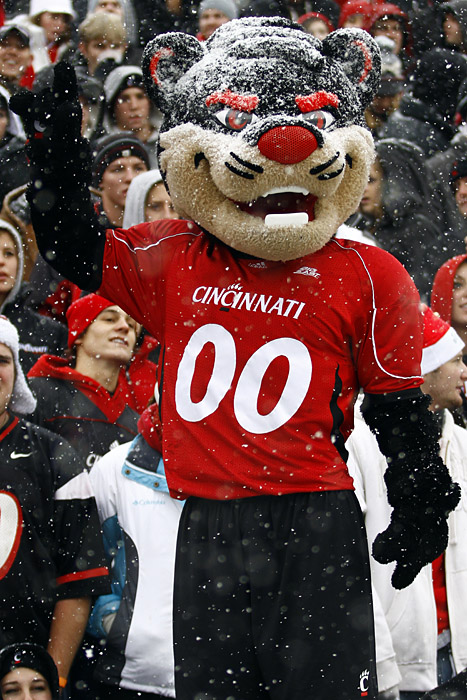 Former Uc Mascot To Appear In Court Newsrecord Org