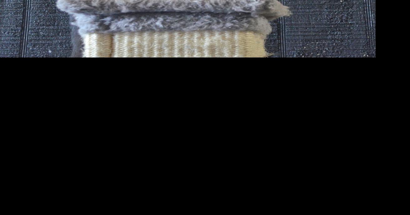 Cats and Mats combines yoga and cats