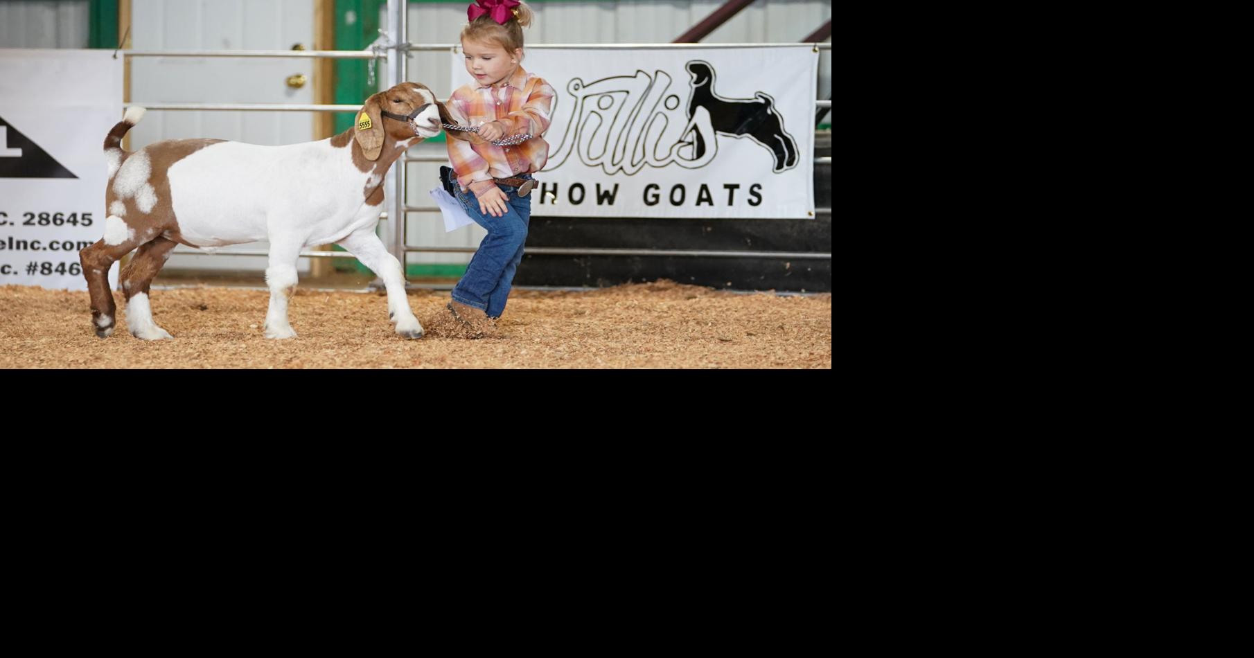 Hundreds of entries set stage for Caldwell Agricultural Fair Local