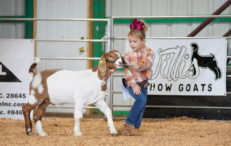 Hundreds of entries set stage for Caldwell Agricultural Fair Local