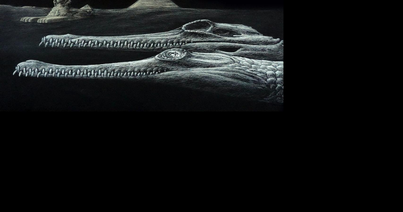 Fossilized Crocodile Lacks Snout, Named After Egyptian Deity | National