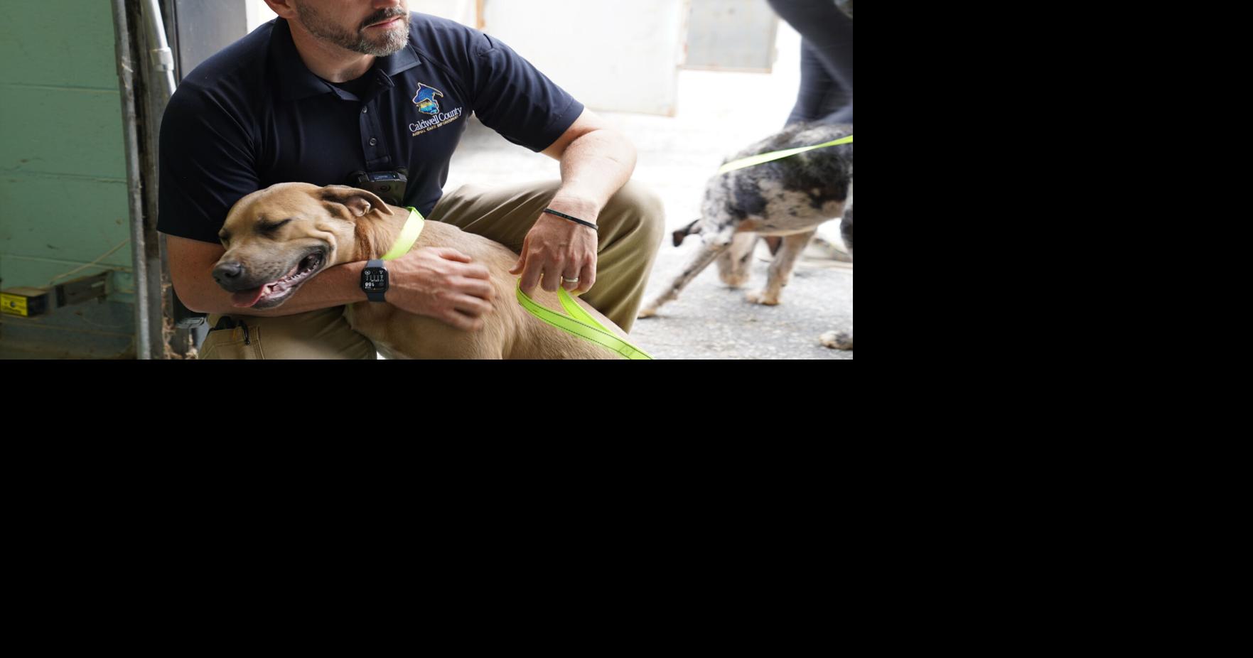 Woman charged with over 50 counts of animal cruelty; third animal ...