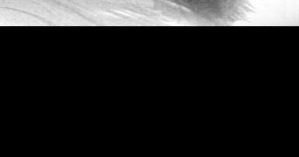 Kristie Moore Archives