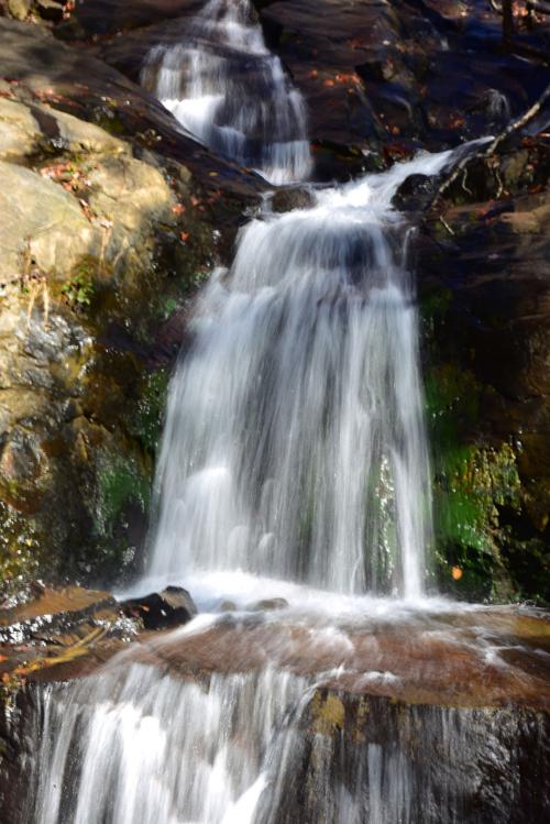 Nature's shower
