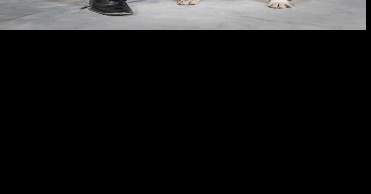 K-9 Harrison gets his own coin By Miya Banks News-Topic Jul 24, 2025 2 mins ago