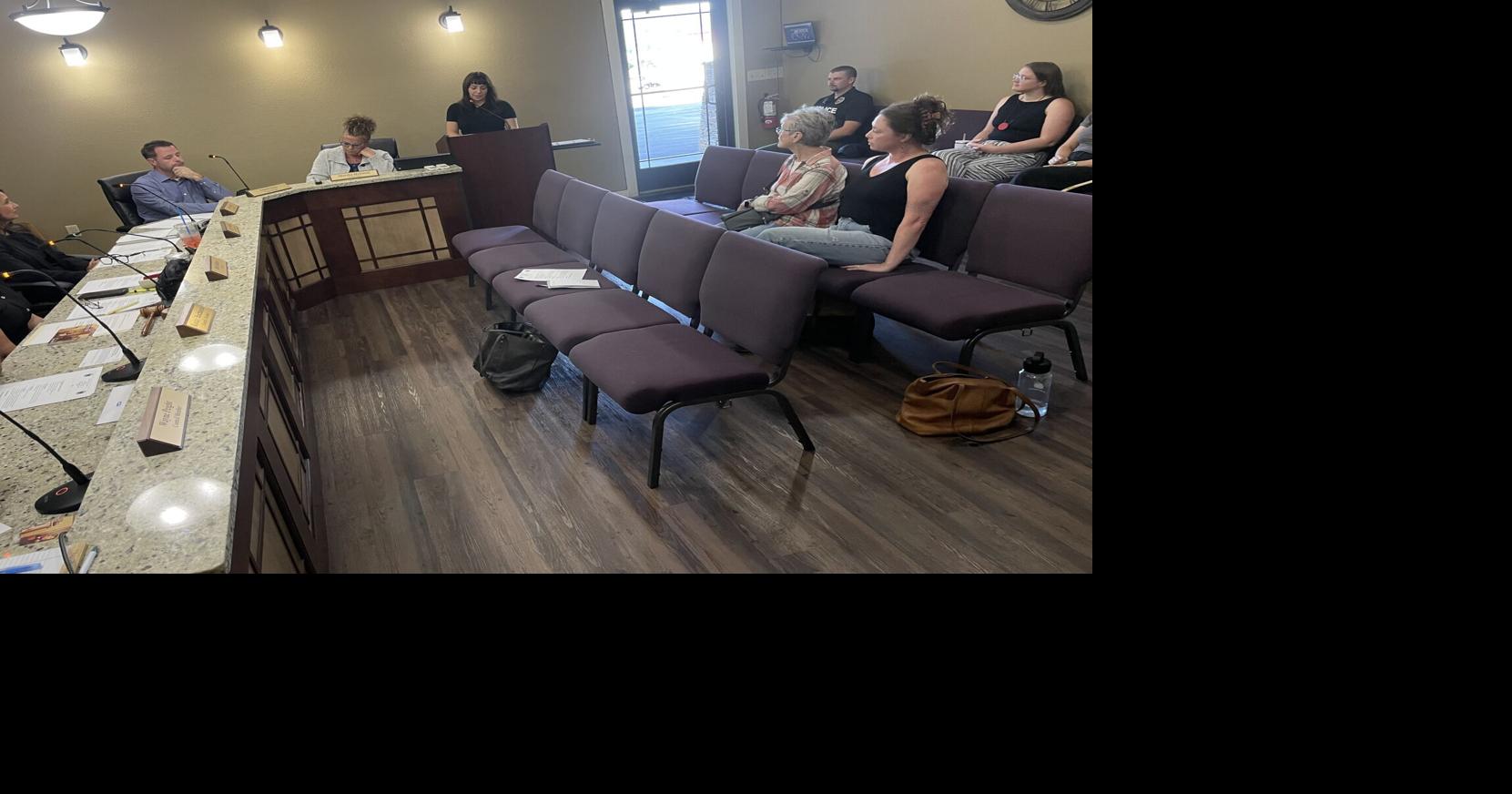 Spruce Pine Town Council honors Toe River Arts
