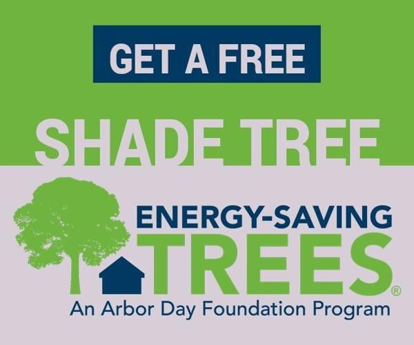 Charlottesville Utilities is Offering Free Trees to City Residents