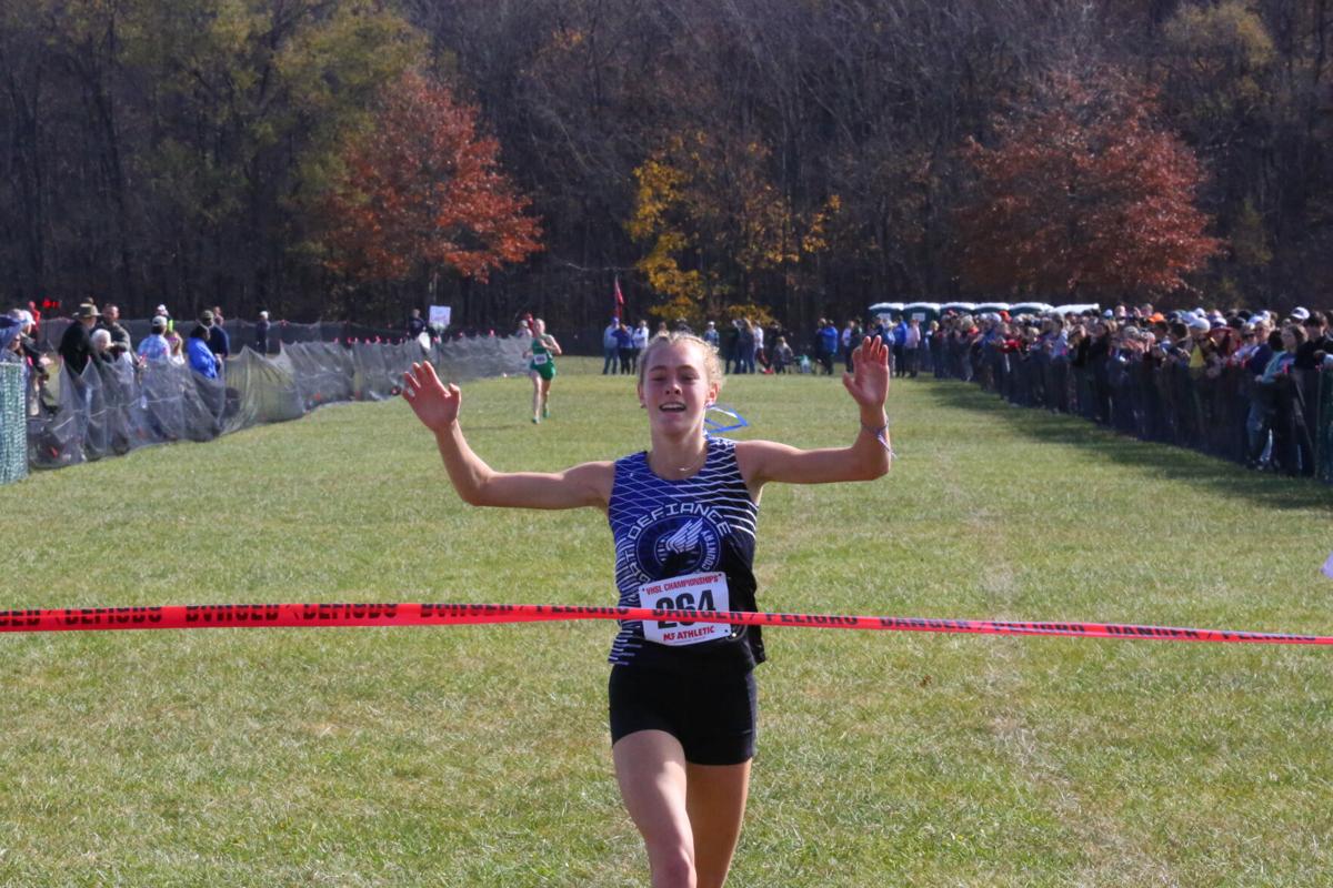 Fast Lane Fort Defiance runner wins VHSL Class 2 state cross country title