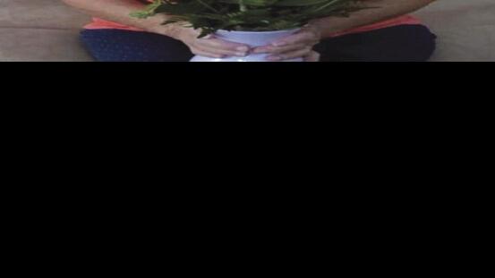 Gyorko Josephine Marie Jordan Obituaries Newsvirginian Com