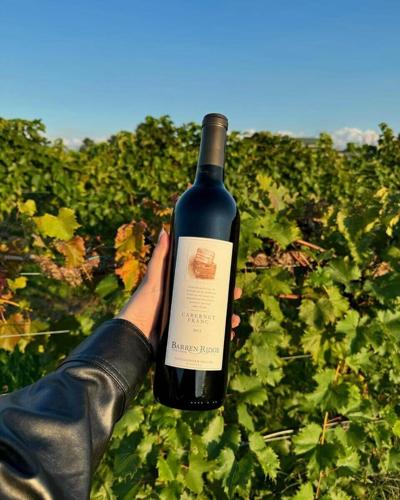 Raise a Glass: It’s Time to Celebrate Virginia Wine
