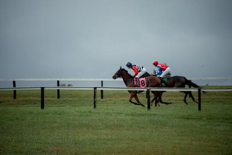 Foxfield Races