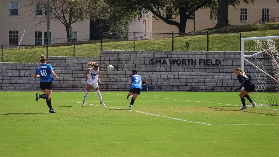 Two Fighting Squirrels Honored with USA South Weekly Awards