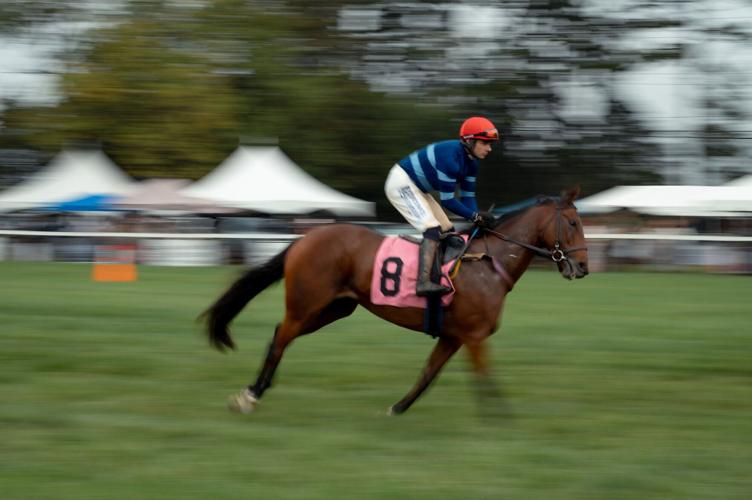 Foxfield