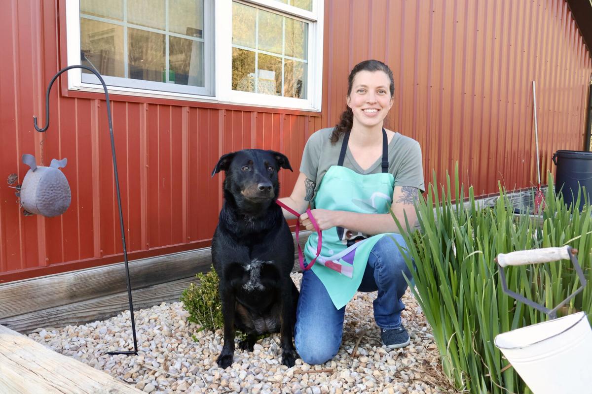 What the Fluff Pet Grooming in Crimora