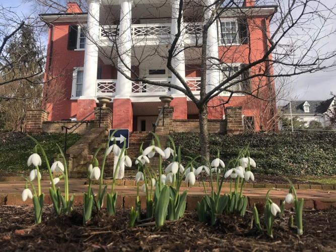 Historic Garden Week