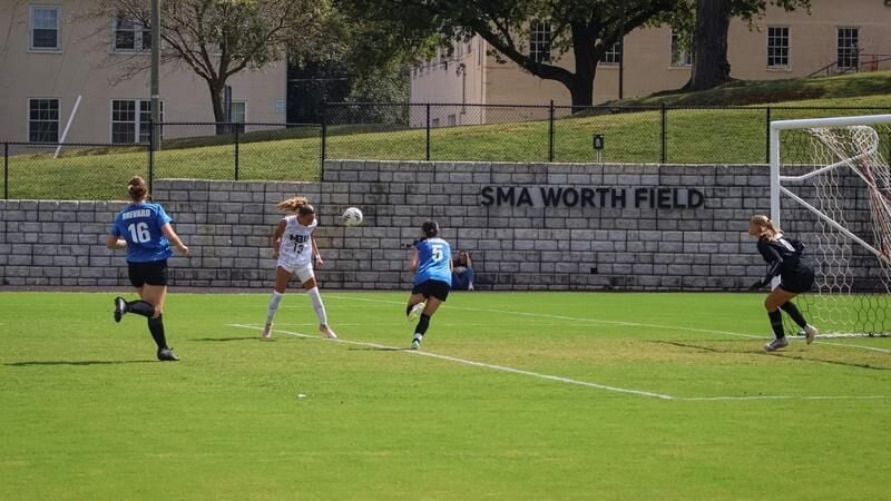 Two Fighting Squirrels Honored with USA South Weekly Awards