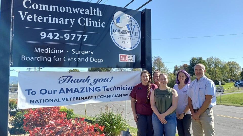 National Veterinary Technicians Week celebrated by staff at Waynesboro's  Commonwealth Veterinary Clinic