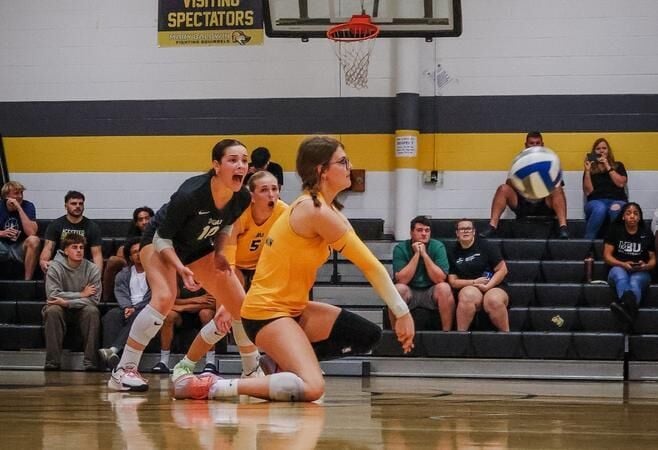 Mary Baldwin Volleyball Drops Two Matches in Home Tri-Match