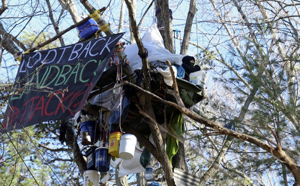 111720-roa-a1-treestands-02 (copy) (copy)