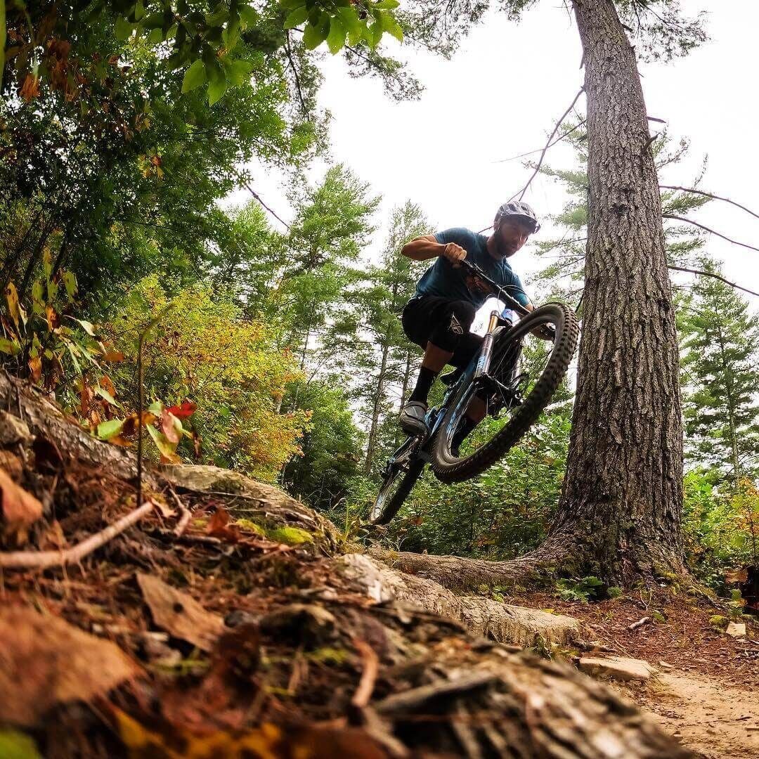 Bears, Birds, and Bike Trails: Where to Find them in Staunton’s Great Outdoors