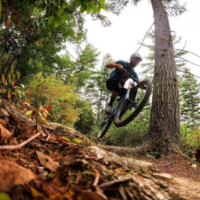 Bears, Birds, and Bike Trails: Where to Find them in Staunton’s Great Outdoors