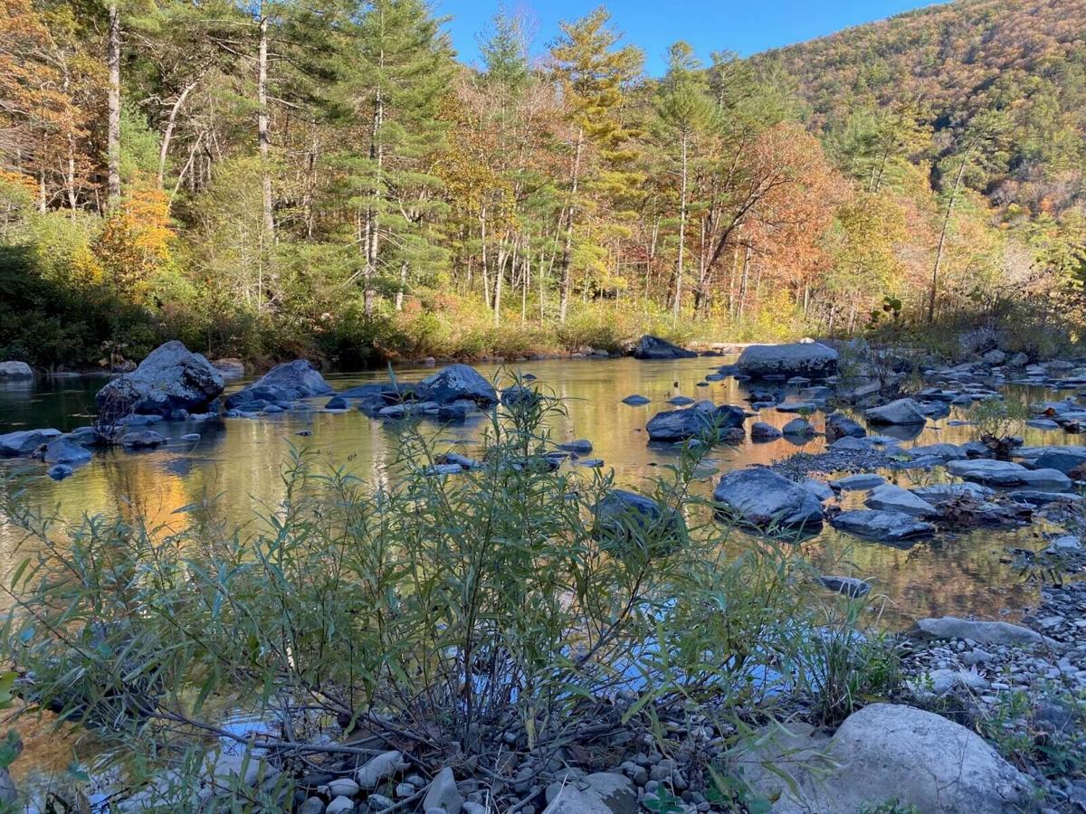 Staunton’s Transition from Late Summer to Early Fall