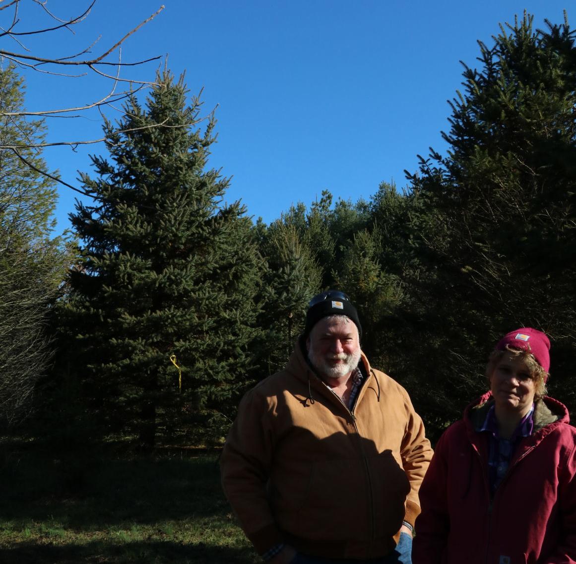 Augusta County Provides State Capitol Christmas Tree Local News Newsvirginian Com
