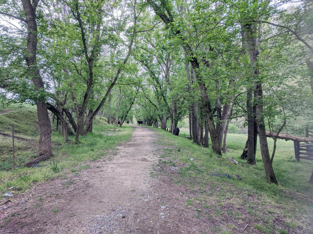 Chessie Nature Trail