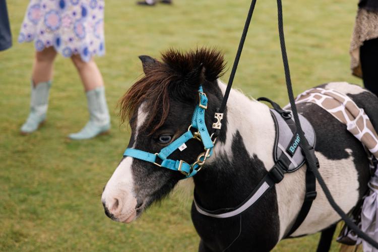 ChukkersCharity_0086.jpg