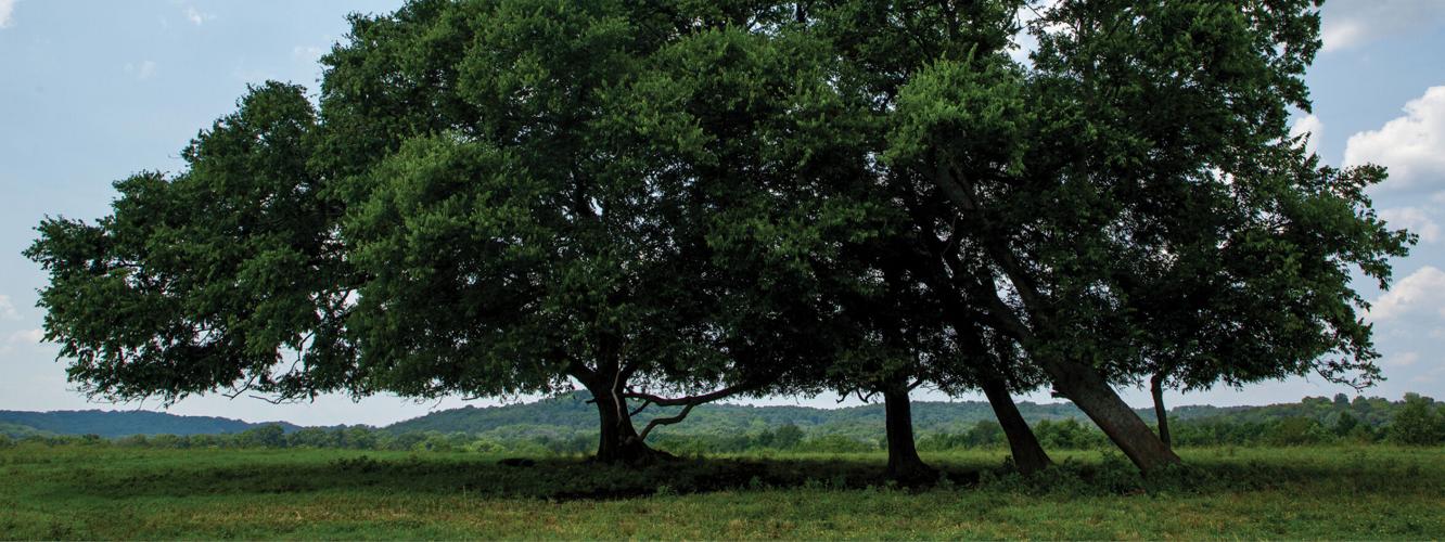 LandTrust_WebHero.jpg